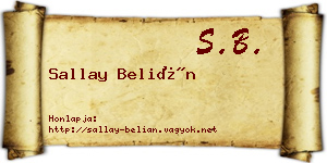 Sallay Belián névjegykártya